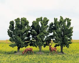 Plum trees